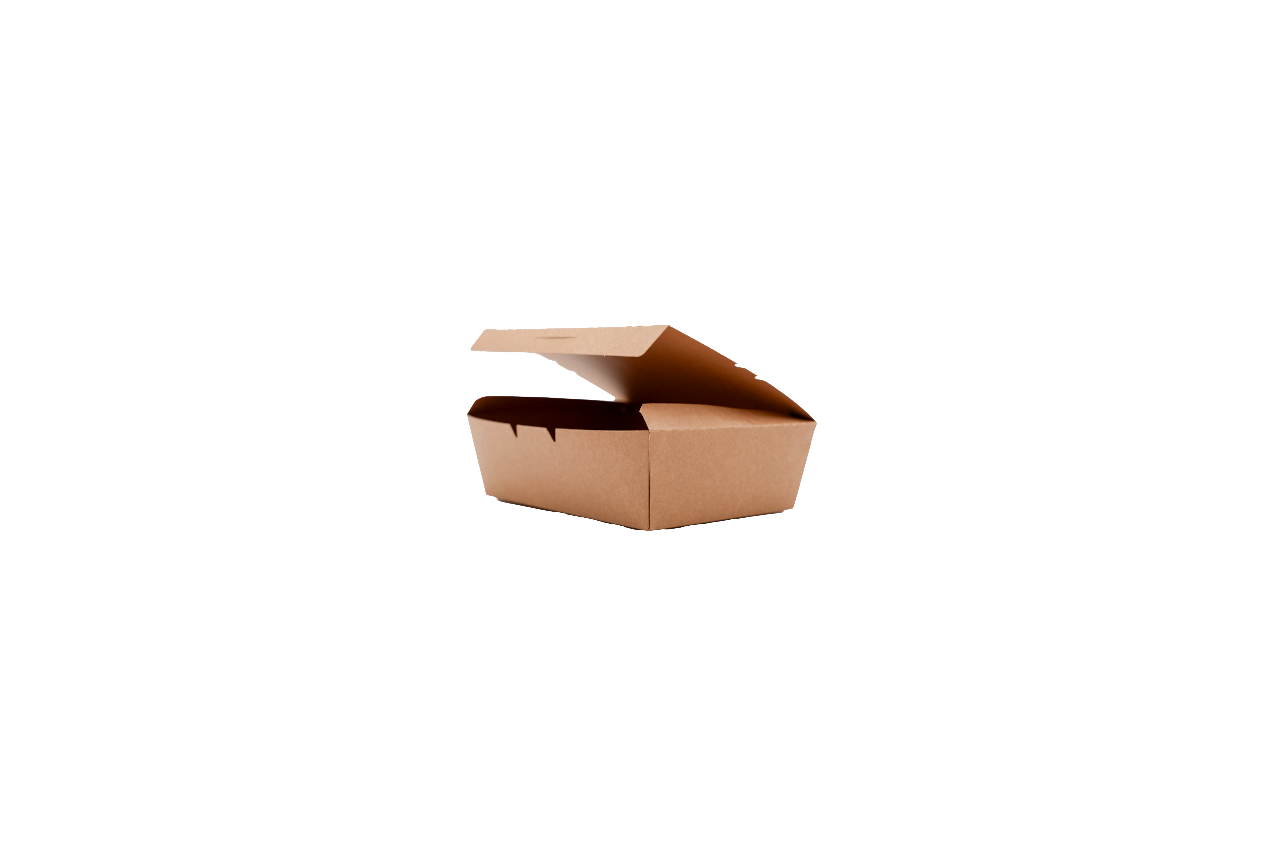 25 oz Paper Food Box - Secure Latch